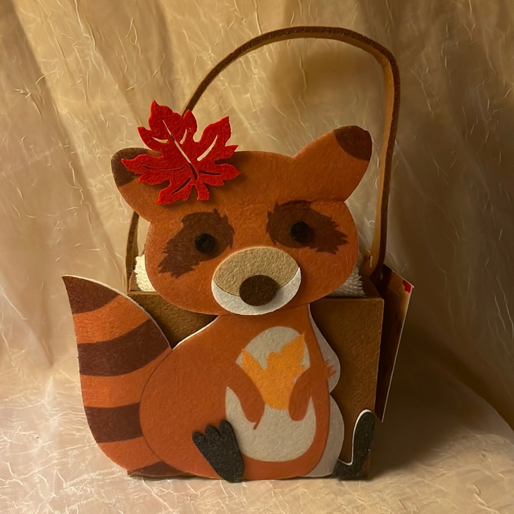 NWT- 3 pack washcloths 100% cotton in felt basket w/ raccoon on front